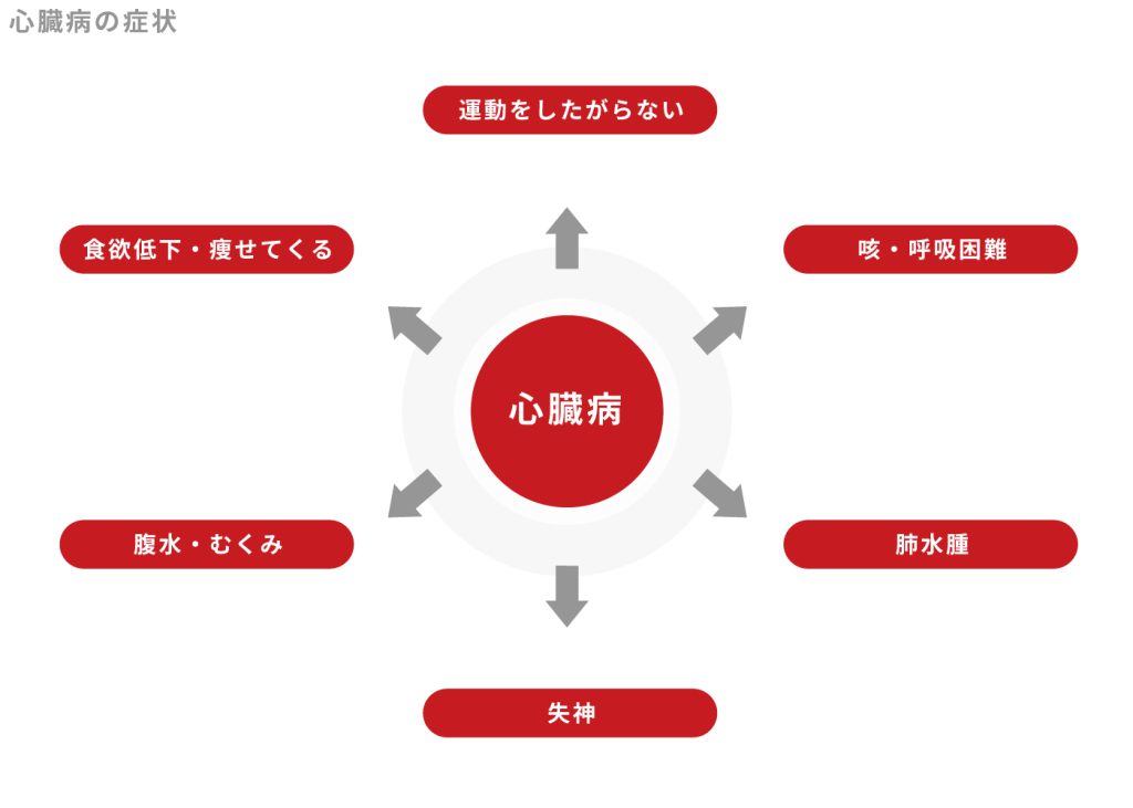犬と猫で共通して見られる症状