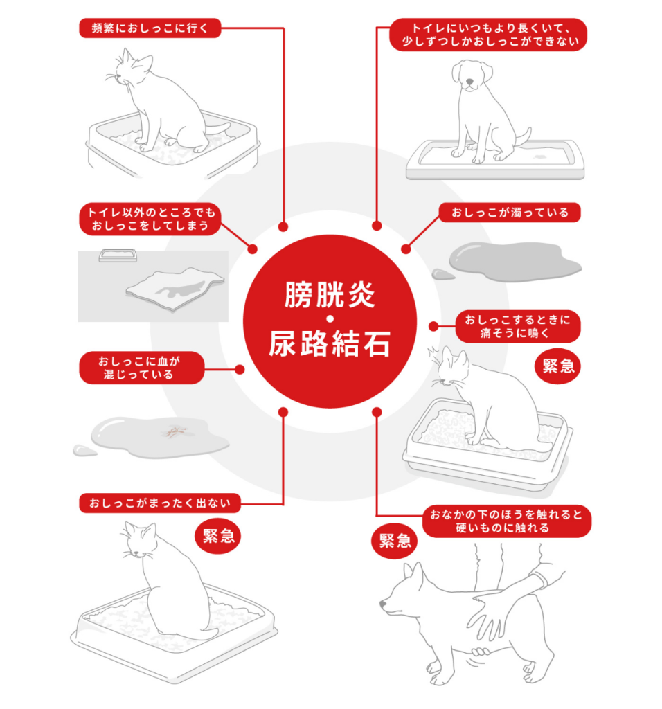 犬と猫の尿路結石・膀胱炎が疑われる症状