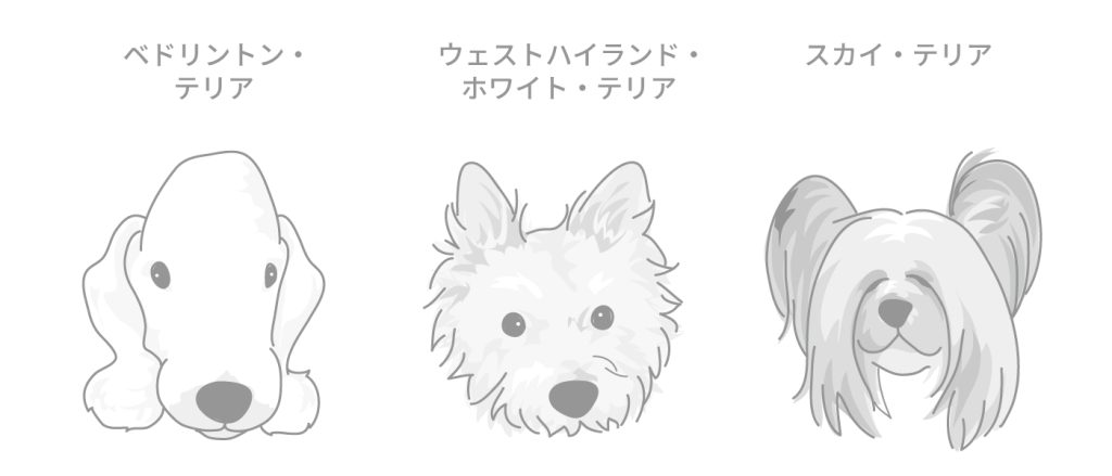 銅が異常に体に蓄積してしまう遺伝性の肝臓病（銅蓄積性肝臓病）は、ベドリントン・テリア、ウェスト・ハイランド・ホワイト・テリア、スカイ・テリアなど特定の犬種で発症リスクが高いことが知られています。