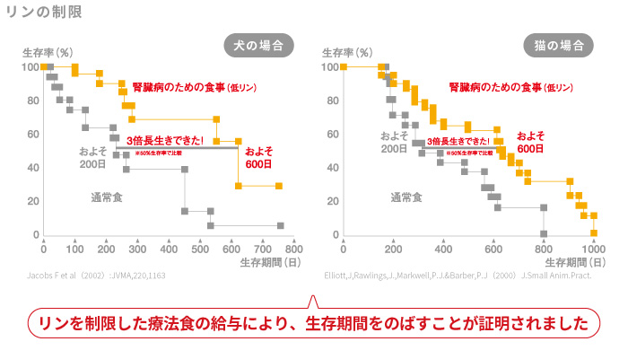 腎臓病の犬と猫におけるリンを制限した療法食の給与と生存期間