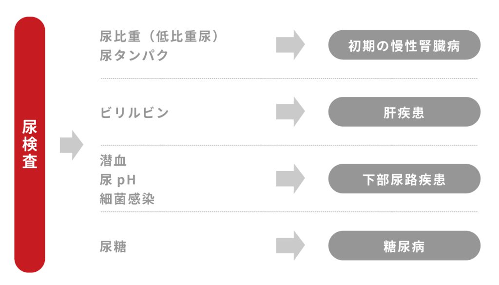 尿検査による犬と猫の腎臓病診断